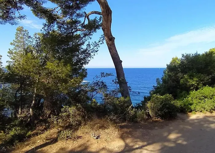 Bord De Cadre Exceptionnel