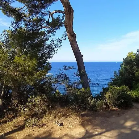 Escapade Bord De Mer